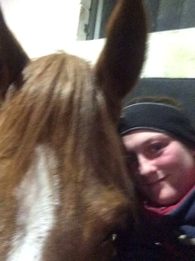 CCastleEventing's tweet photo. @GinnyHoweEvent ur pony was VERY tired after his day off today!!! #snugglestime https://t.co/iCAVt7lBVy