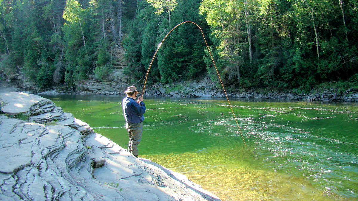 QuebecSporting's tweet image. Gaspe Salmon will be at the Somerset, NJ  - Fly Fishing Show Jan 29,30, 31
#YorkRiver #StJeanRiver #DartmouthRiver