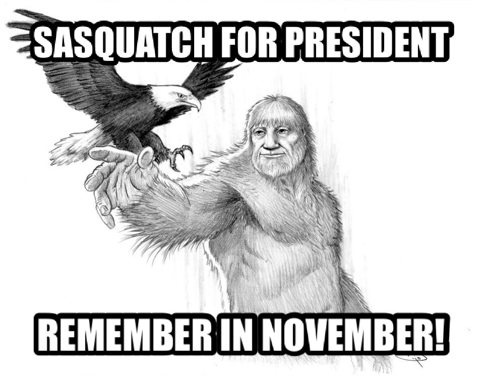 johnturley7's tweet photo. Only one candidate makes sense! @Para_Mystery @SoFriedBigfoot @CliffBarackman @Baking_Bigfoot @PNWBigfootRCam1 https://t.co/Xrm2pSLh2w