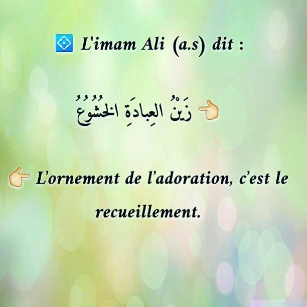 arbaeenpix's tweet photo. #islam #francophone #coran #islam #Muhammah #ahlulbayt, #iran #islam #converti #coran #ahlulbayt #francophone #hath… https://t.co/NwJVCdzlz0