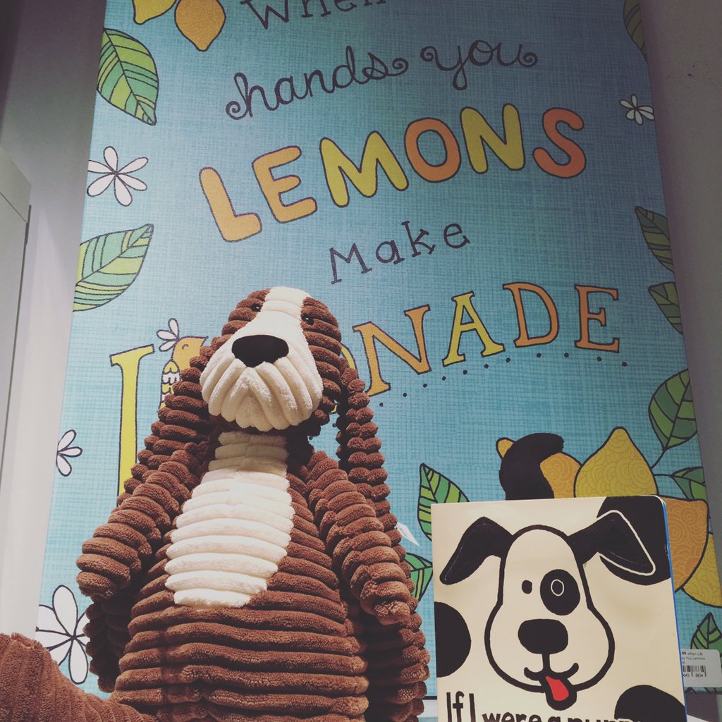 binkdavies's tweet photo. When life hands you lemons... #jellycat #stuffedanimal #puppy https://t.co/JsCztnOSTb