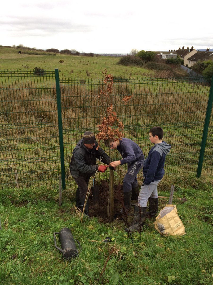USDTYouthTeam's tweet photo. @ArleneAB_ Chilli +YP from Newhill supporting Kevin Rossotto Tree Planting initiative #NewEarth #YoungPeople https://t.co/NfCKNOQCJU