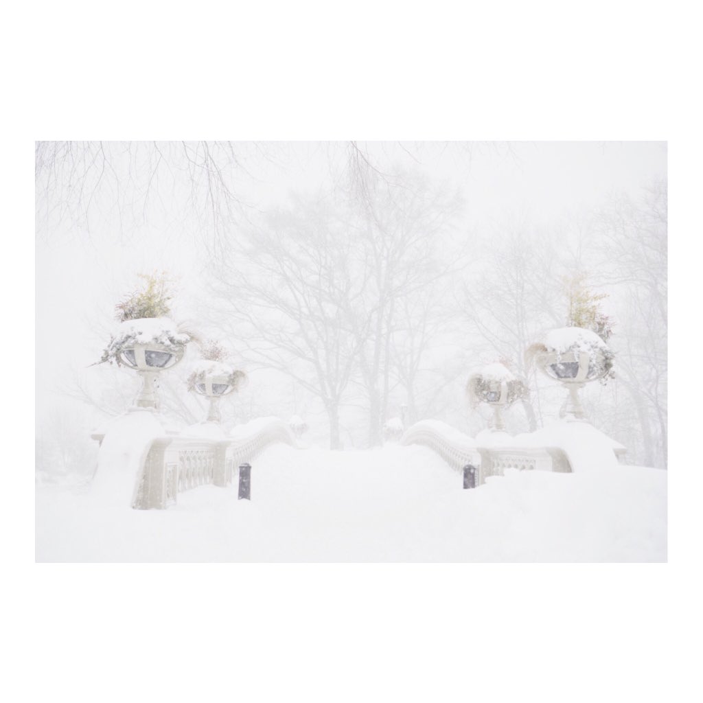 The Bow Bridge, Central Park, NY