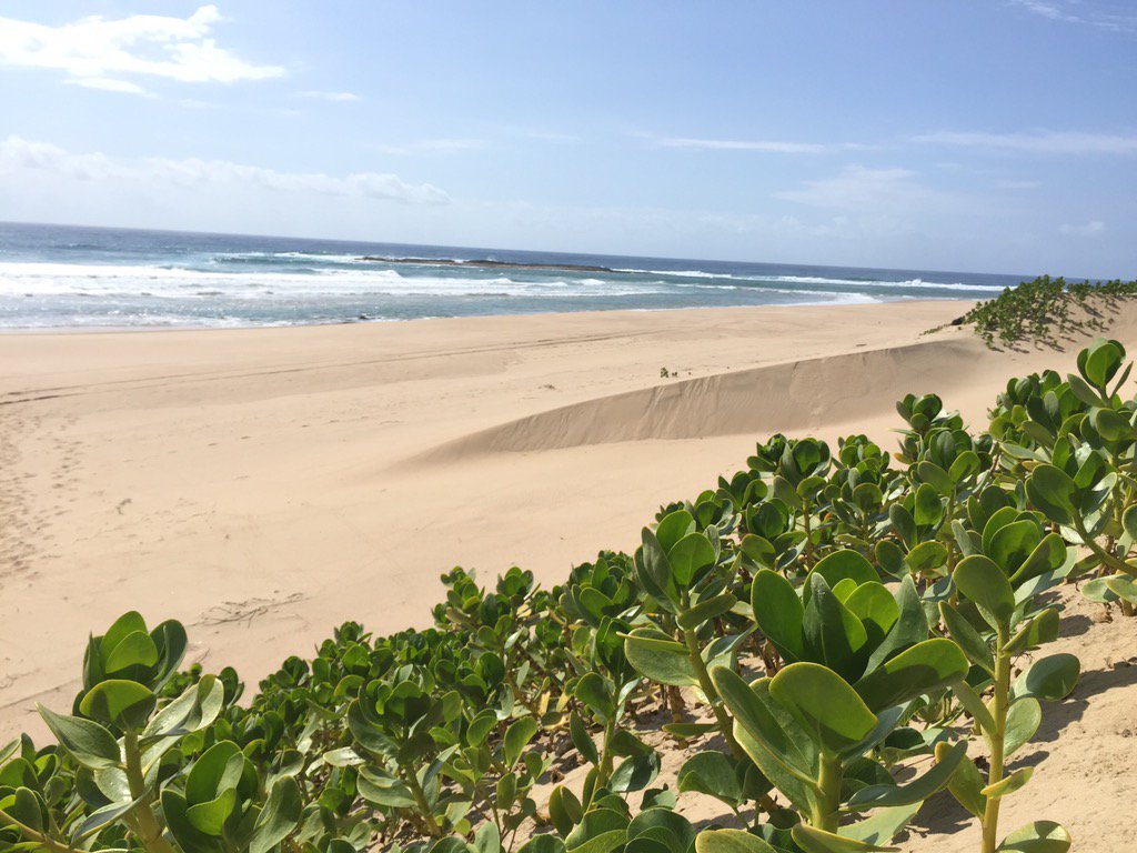 Blue skies and empty beaches at island rock! What a beautiful place to explore! #ThisisKZN