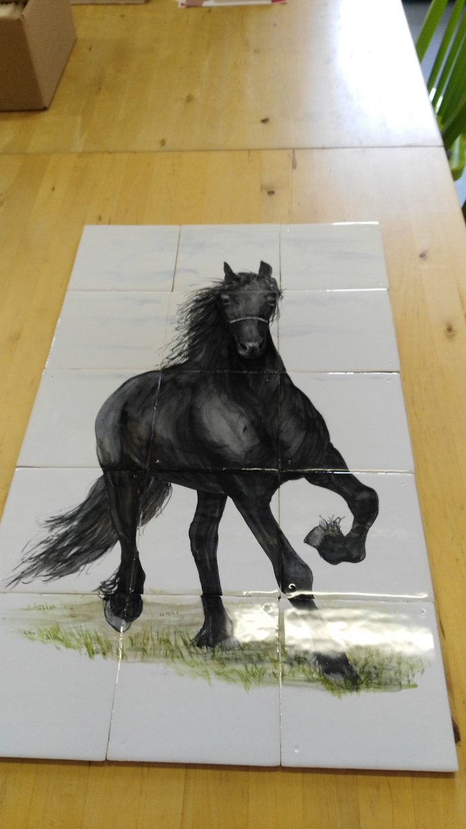 Ook jo-uw paard wordt geschilderd op Friese witjes....bij FRIEStile.nl