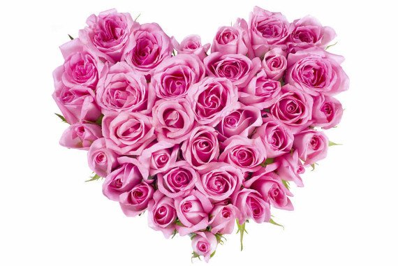 LisanellM's tweet photo. ♥♥♥ https://t.co/ouTrf3QHb9