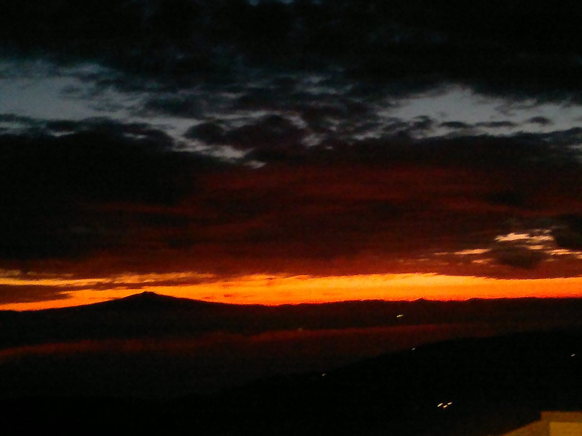 Պario  Պoroni tweet media