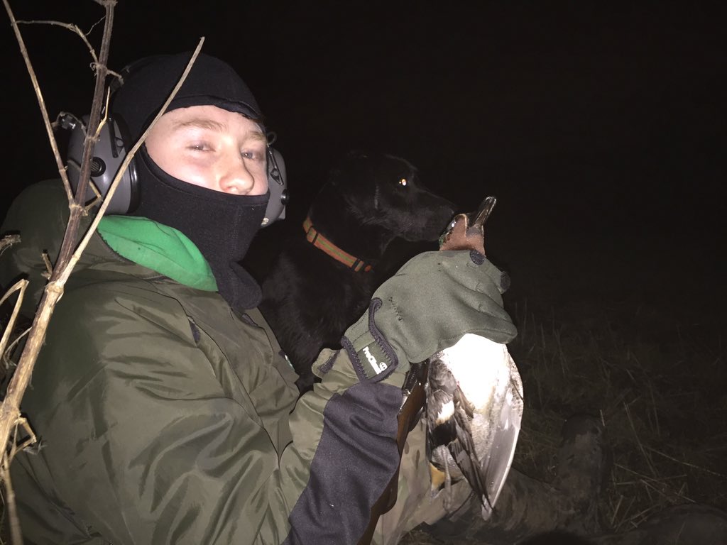 _Duncan_Thomas's tweet photo. First class flight tonight for some more very lucky youngsters thanks to @HaworthAdam @BASCNorth #teal #wildfowl https://t.co/UpLsDq3iTQ