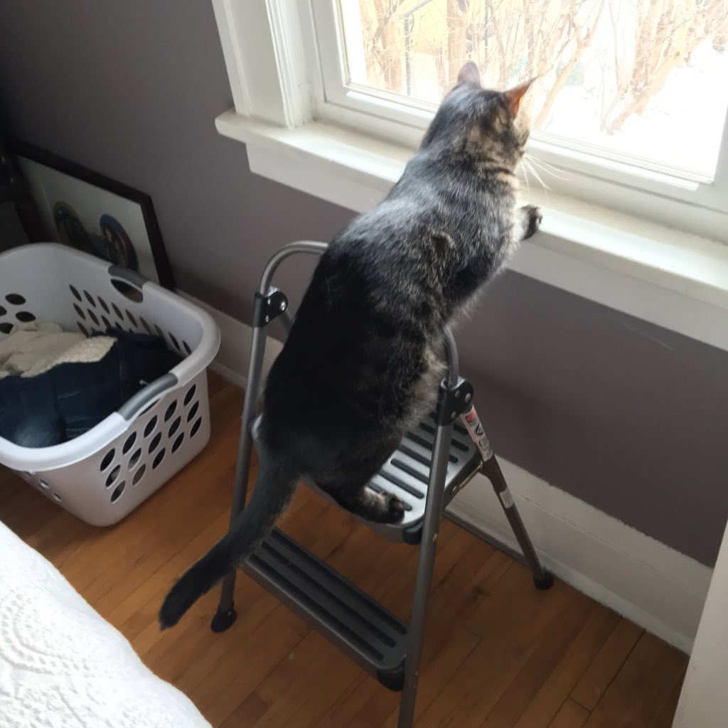 GrowFangs's tweet image. Help out other living creatures