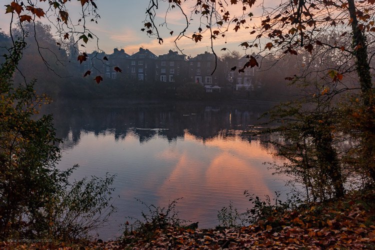 signastylehome's tweet image. 8 Tips to Stay Motivated and Inspired by Your Photography bit.ly/1ZLwKcf #PhotographyTipsandTutorials