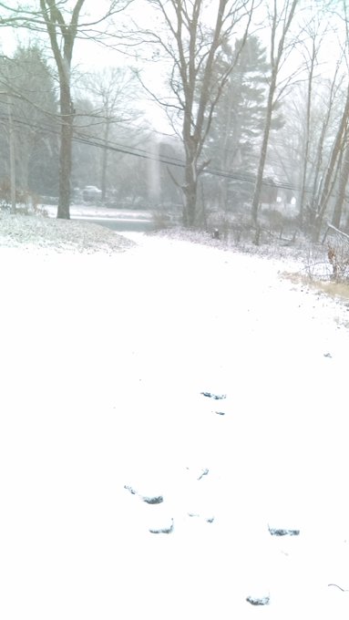 When your drive way is this long 😳 https://t.co/VYMcuRYsHx<a href="/tag/mvsales"class="tags"><span>#mvsales</span></a><a href="/tag/vipfanclub"class="tags"><span>#vipfanclub</span></a>