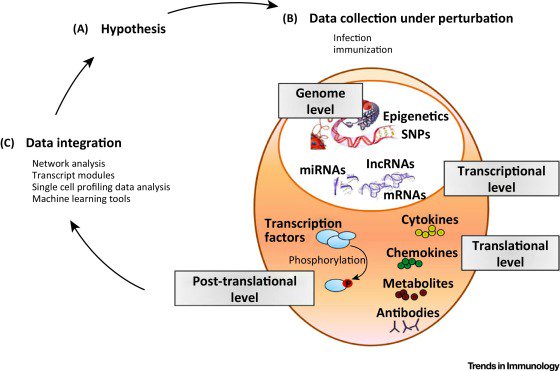 mmw_lmw's tweet image. #HumanImmunity | DeniseDoolan @UQmedicine reviews systems studies with view to #SingleCell | ow.ly/XttZX