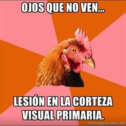 NoWeL86's tweet photo. Jajajaja me encanta! A dormir que mañana es lunes!  #fisio https://t.co/szhaud9Nwf