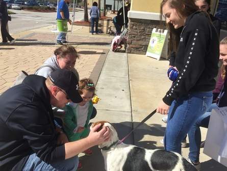 NewsLawson's tweet photo. #Pause4Paws kids hope to make the world a safer place for dogs @dbnewsjournal https://t.co/RyGd0K6M8Z https://t.co/ALqmiGH5EV