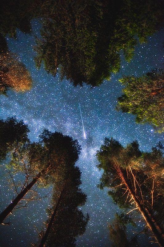 rybotics's tweet photo. Shooting star in Edsbyn, Sweden https://t.co/41H5a9qQt0