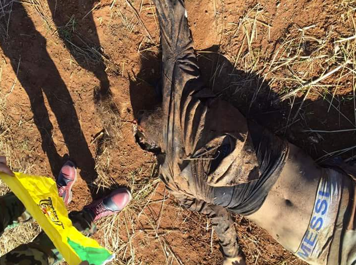 Embedded image permalink