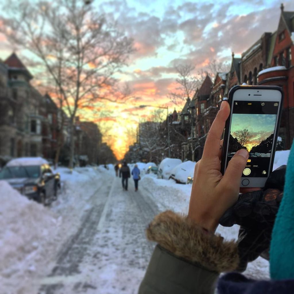 LittleMrDawson's tweet image. Glimpses of color in a weekend blanketed by white ⛅️ #snowzilla #bythings #acreativedc #ig… ift.tt/1nsZye2