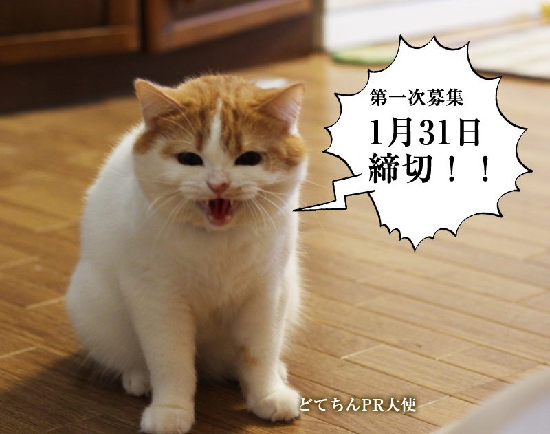 映画 先生と迷い猫 Senseimayoineko Twitter 映画 先生と迷い猫 Senseimayoineko Twitter
