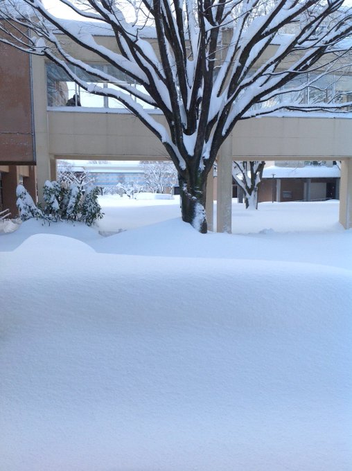 長岡技術科学大学就職支援係さん の人気ツイート 1 Whotwi グラフィカルtwitter分析