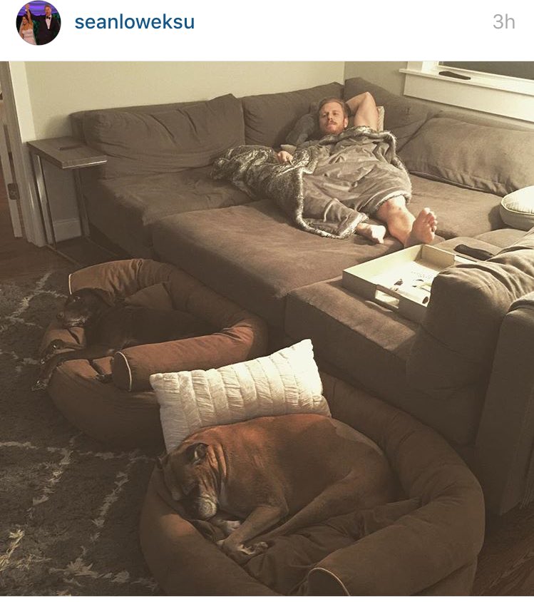 basicgirlcode11's tweet image. Goals