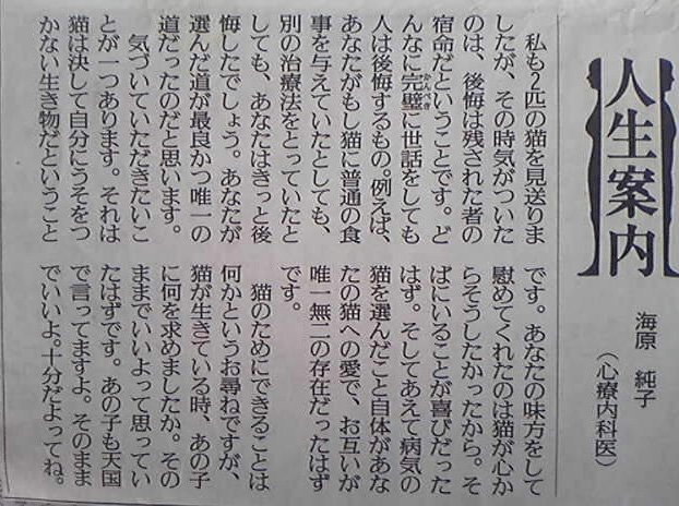 ペットを飼っている人に読んでほしい 愛猫の死への後悔