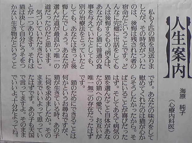 ペットを飼っている人に読んでほしい　愛猫の死への後悔