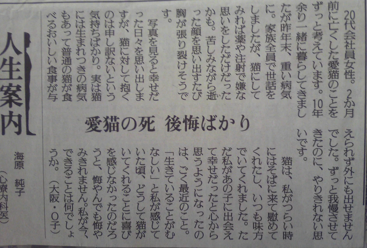ペットを飼っている人に読んでほしい　愛猫の死への後悔