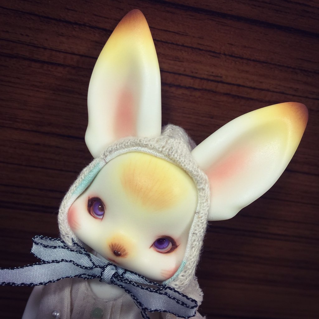 本日限定値下げ imda SOOM cutie:p gato | hornnes.no