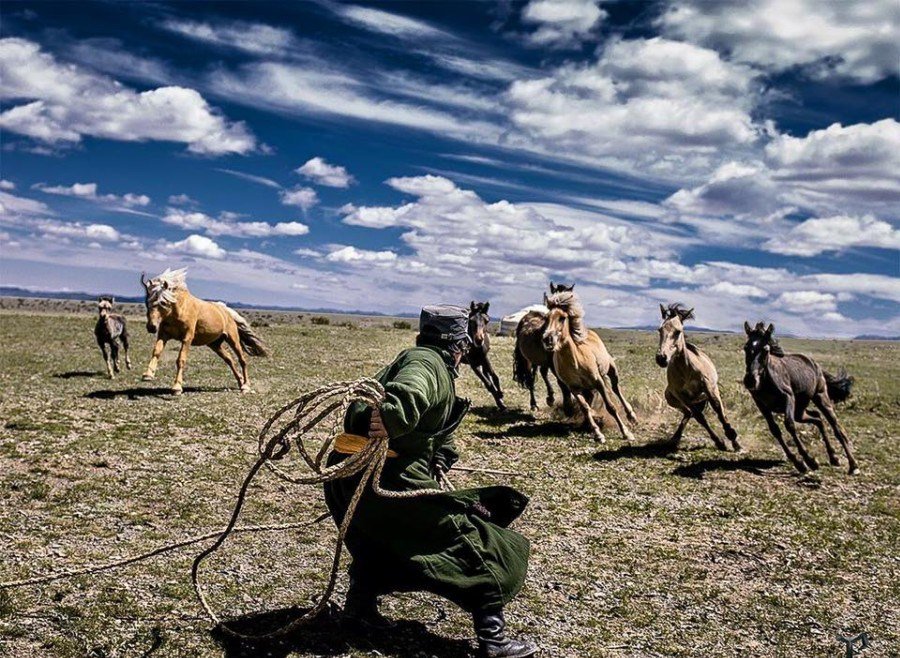 Урин цаг удахгүй ирэх нь
Удаан үргэлжлэх өвлийг өнтэй давсан бэлэгдэл
Сар шинийн баяр ойрхон бна
Сайхан Монголдминь