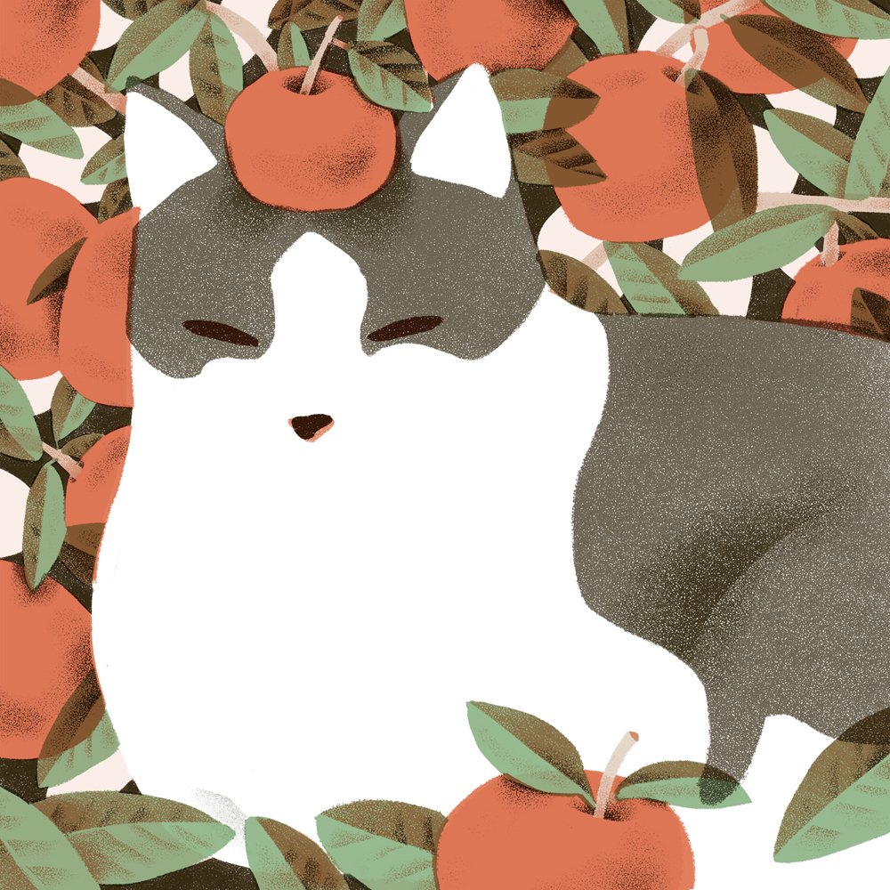 jeanniephan's tweet photo. Keeper of the oranges #catstudies https://t.co/3aAPpT5daf