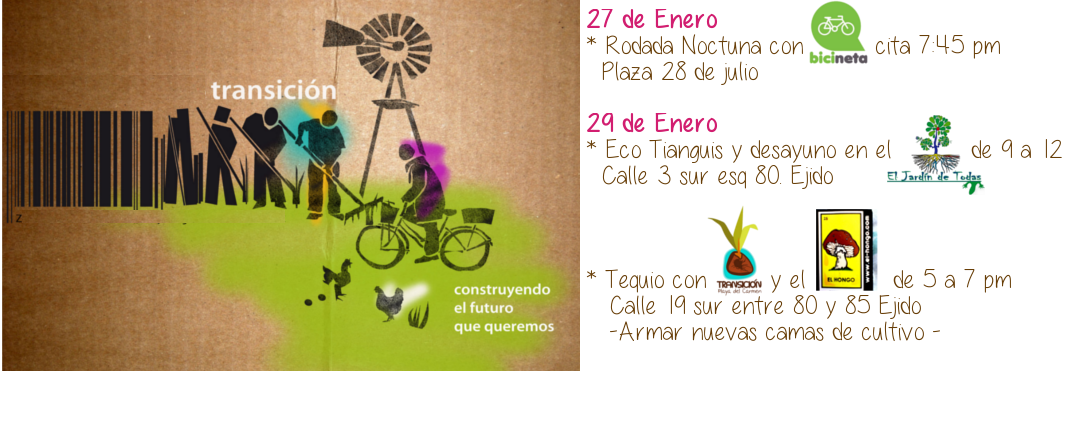 TransicionPlaya's tweet photo. @Playahit @wheretogoplaya  @lapancarta @LaGacetaPlaya @playatimes @bicinetamx @YOAMOPLAYARADIO @libroslibrespdc https://t.co/GVgffk9qWq