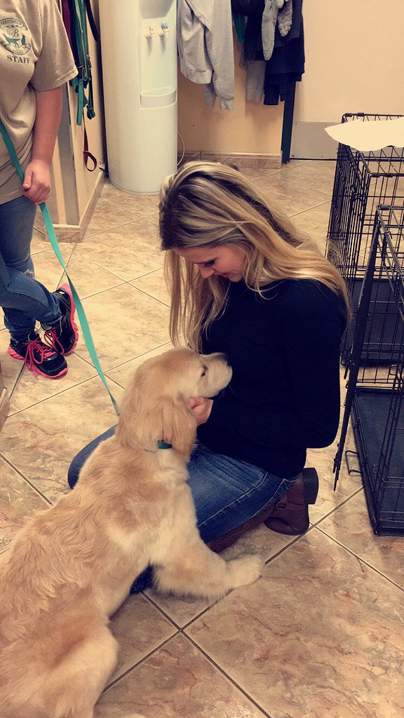 In case anyone wants to get me a late birthday present..... I fell in love today. #goldenretrieverobsessed