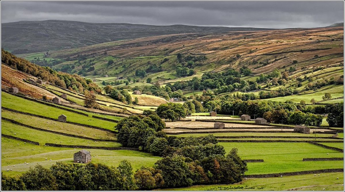 Tracy Hogan tweet media