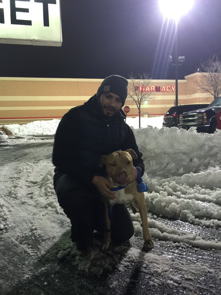 Chester Ave Dog Park (ChesterAveDogs) Twitter