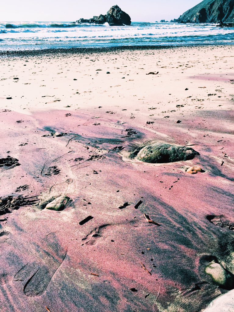 MeganEPotter's tweet photo. Obsessed with Pfeiffer beach 🙌🏼 https://t.co/cHJIv2H2Tq