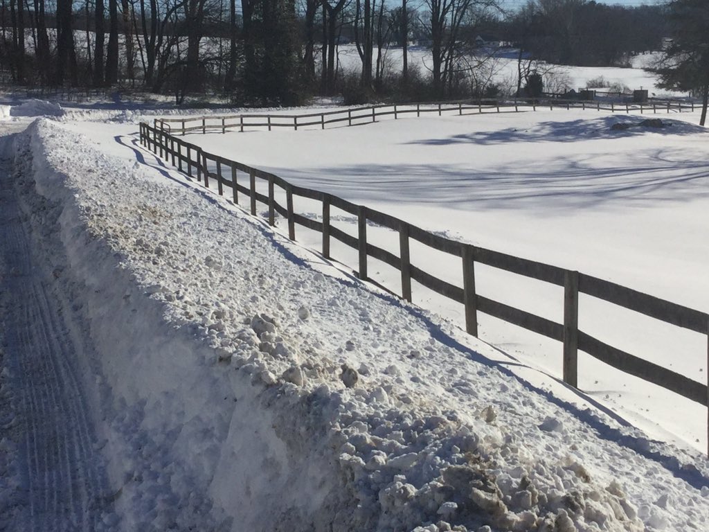 Mark_Bandy's tweet image. Ready for the melt #snowbal