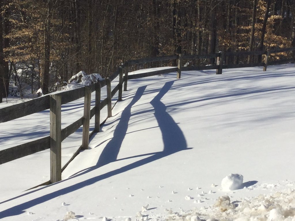 Mark_Bandy's tweet image. Ready for the melt #snowbal