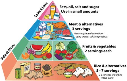 FUDA_Indonesia's tweet photo. Piramida makan seimbang yang menyehatkan tubuh #FUDATips https://t.co/A0IeYaE1bm