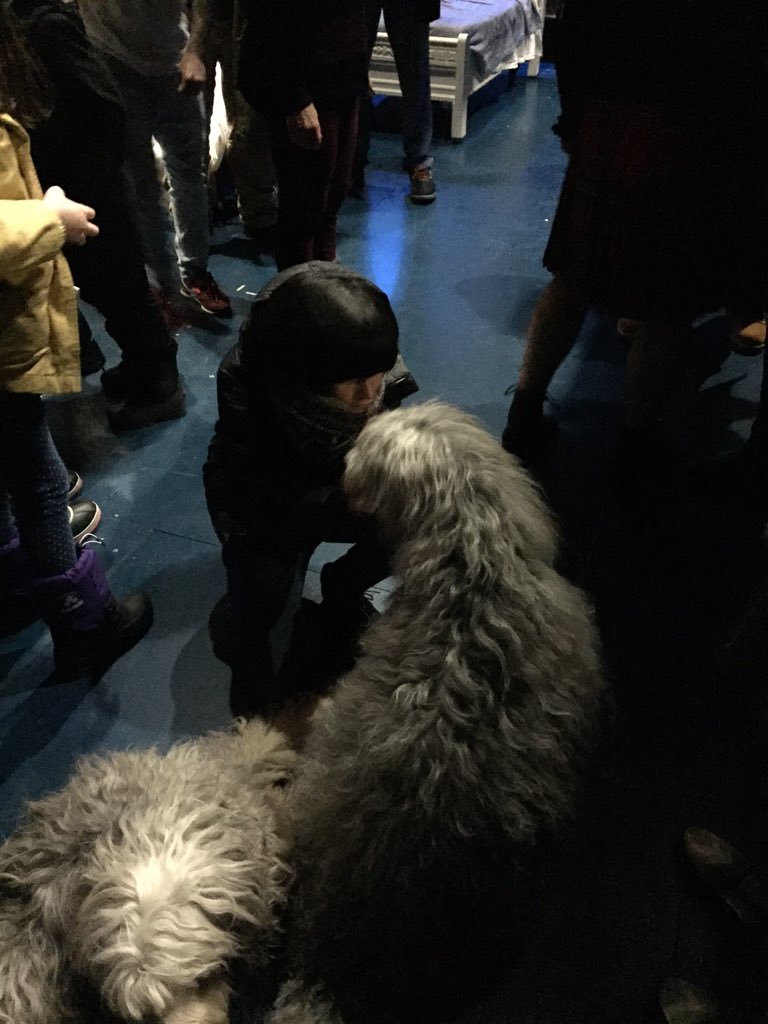 OscarWWilliams's tweet photo. #postbroadway #jamsesh with my @NeverlandBway buddies on their stage. Like you do. Awesome show tonight guys! https://t.co/6bUtBKha6D