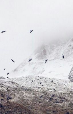 Vadsein Sägrid tweet media