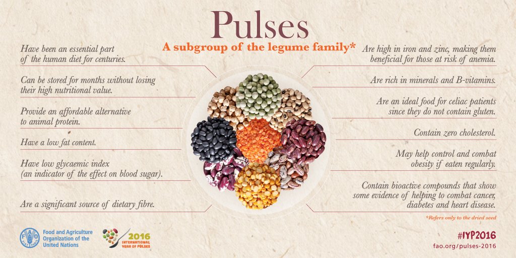 Pulses will play fundamental role in our sustainable future, our #zerohunger future bit.ly/1lAtO4G #IYP2016