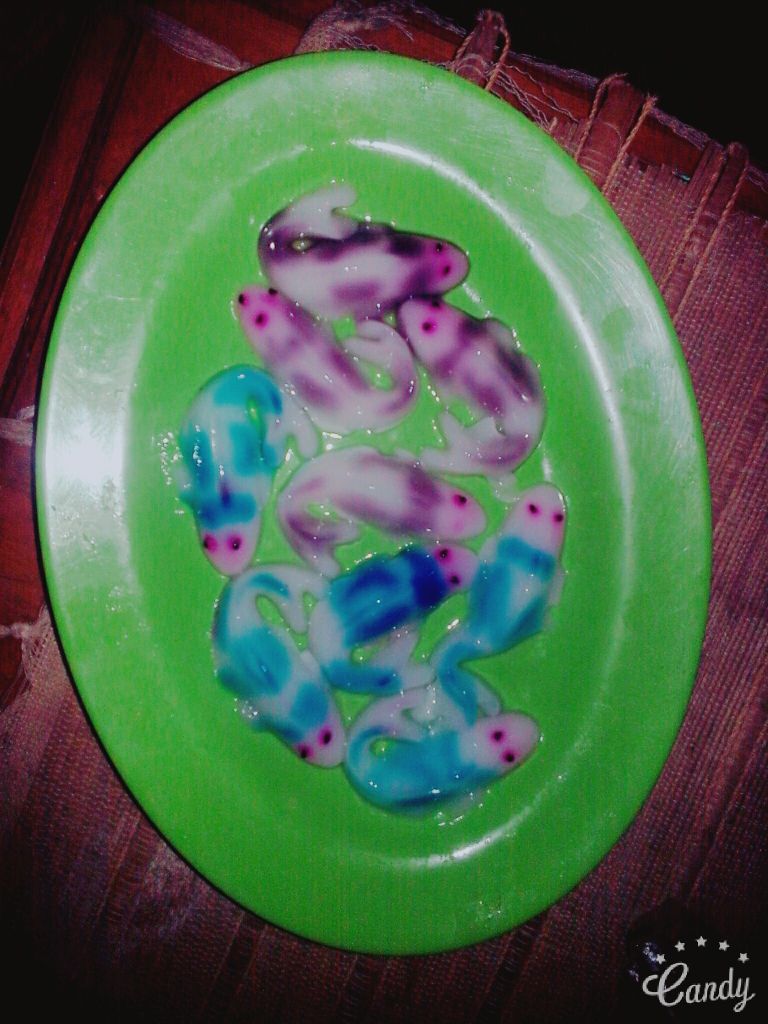 DeviAsyifa23's tweet photo. Puding buatan mama sudah jadi yyyeeaayy 🙌🍴 https://t.co/LovA10xN3h