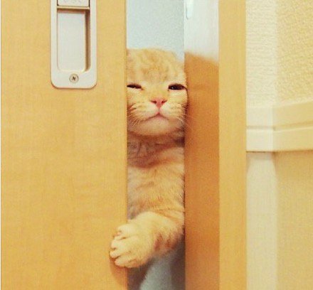 Alnpet's tweet photo. Hey, Monday! https://t.co/pXxP1rpv9l