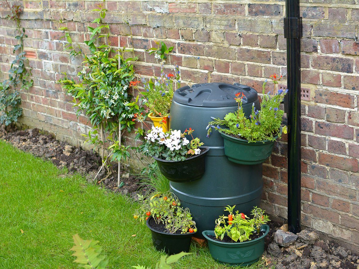 buttacup's tweet image. In 2016 #Buttacup is the green way to grow. buttacup.co.uk