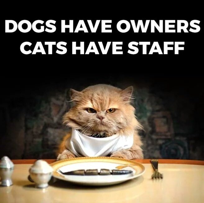 MichaelDAClarke's tweet photo. Fact! https://t.co/h3GHnyvbNk