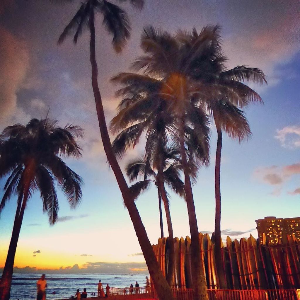 iHeart_Hawaii's tweet image. ここのところ #ハワイ ではいいお天気が続いています。 だから夕暮れ時もとってもいい感じです。

#hawaii #ihearthawaii #sunsethttps://www.instagram.com/p/BA9Ipz0GA…
