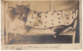 ShaesQueendom's tweet image. Good Night #ModelingFamily bit.ly/1S7akjy