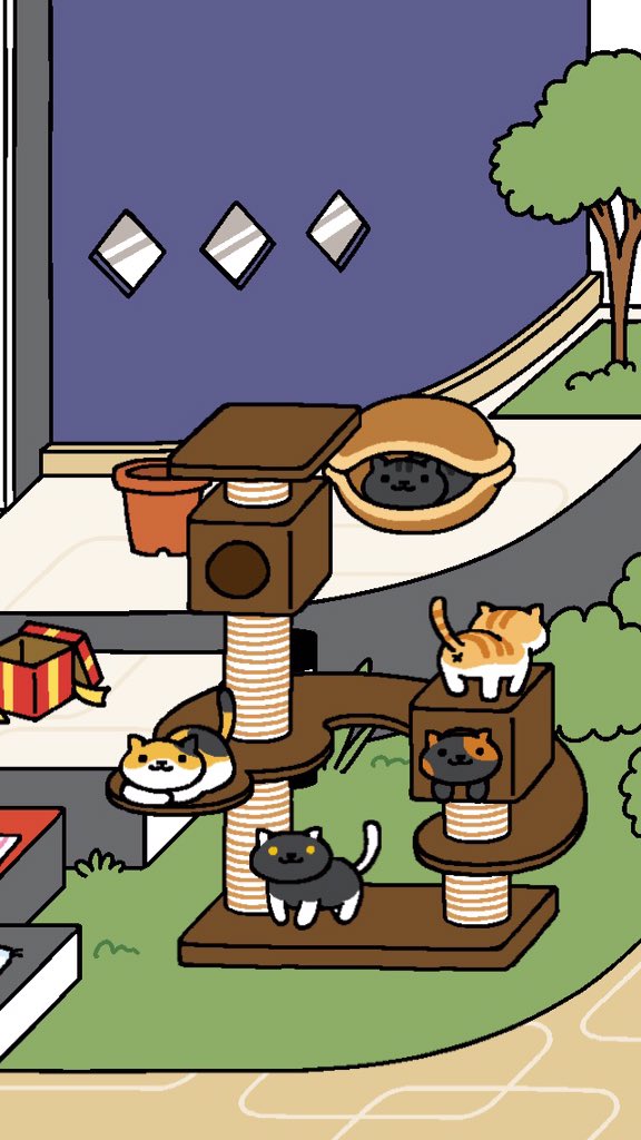 tfwrosey's tweet photo. look @ them. my precious https://t.co/mVCg8ctBgO