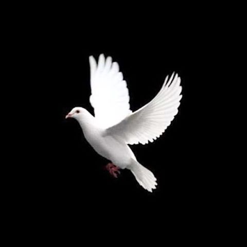 Alfakir99's tweet photo. https://t.co/OwXIXrK4tt
