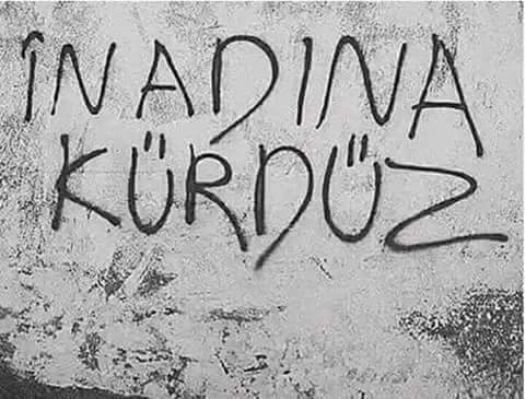 Haşim Kaya (@haimkaya100) on Twitter photo 